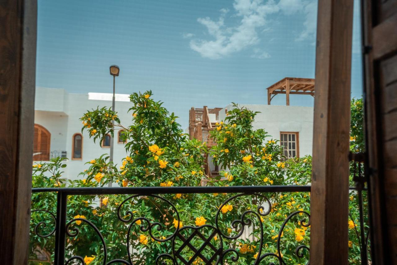 Rafiki Hostels - Dahab Ngoại thất bức ảnh